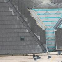 banner2